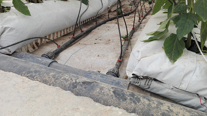 IRRIGATION SYSTEM IN A GREENHOUSE. Campo de Cartagena, Spain