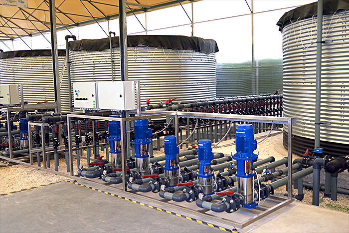 SEED PRODUCTION GREENHOUSE. Ministry of Agriculture, Ecuador