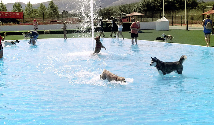 FILTRATION SYSTEM FOR A DOG SWIMMING POOL. Ondara, Alicante, Spain